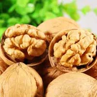 Саджанці горіхів