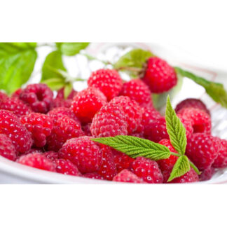 Малина Здоровань деревоподібна (саджанці, дворічні)