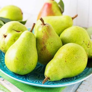 Груша Листопадова (саджанець, дворічний)