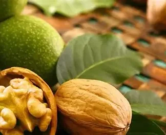 Волоський горіх Ідеал (трирічний) / сіянець