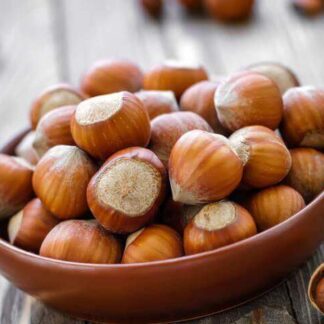 Саджанці лісового горіха / дворічний