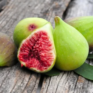 Саджанці інжиру Королівський