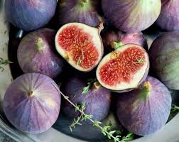 Саджанці інжиру Київський Великоплідний