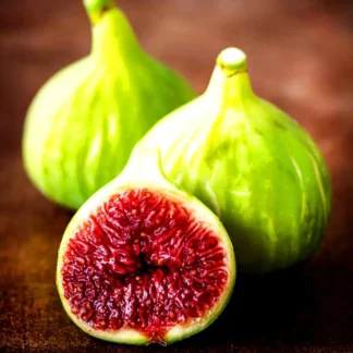 Саджанці інжиру Медовий