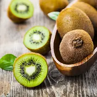 Саджанці ківі Едвард / однорічний