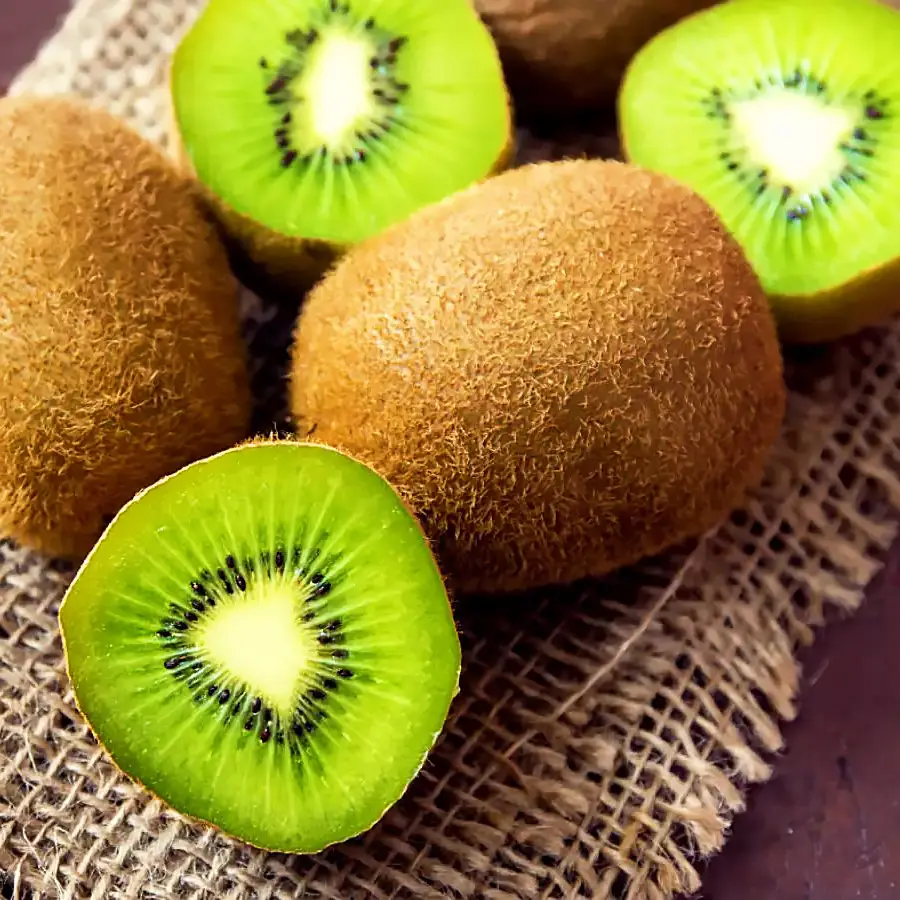 Саджанці ківі Генріх / однорічний