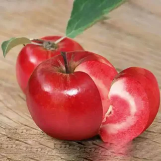 Яблуня Ера (саджанець, дворічний)