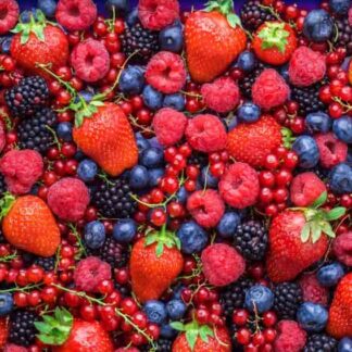 Саджанці ягідних кущів